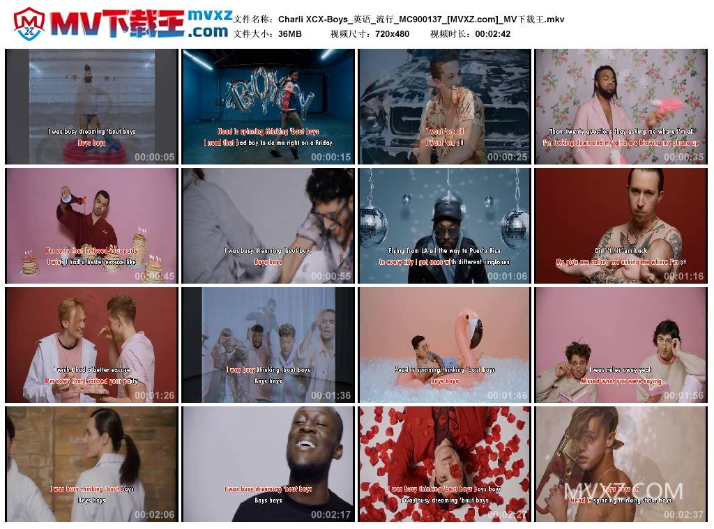Charli XCX-Boys_英语_流行_MC900137